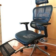 【デスクチェア　エルゴヒューマン】配達可