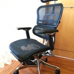 【デスクチェア　エルゴヒューマン】配達可