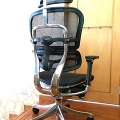 【デスクチェア　エルゴヒューマン】配達可