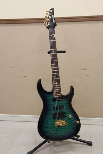 Fernandes フェルナンデス　エレキギター ソフトケース付 (P1576anxY)