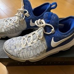 バッシュNIKE  KD9(28.5cm)【ありがとうございました】