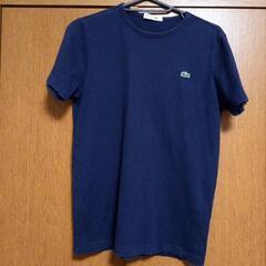 決定❇️LACOSTE★半袖