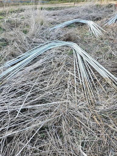 長野県埴科郡坂城町 きゅうり支柱、ネット無料サービス  キュウリ農家さん向け