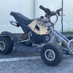 ミニ4輪バギー　ATV 