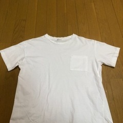 Tシャツ　白