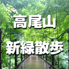 初心者向け登山イベント！高尾山で新緑散歩します♪