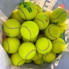 硬式テニスボール　50個
