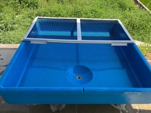メダカ、金魚、らんちゅう