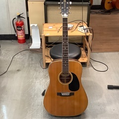 アコースティックギター MORRIS WM-35 紹介します！