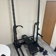 懸垂マシン+ベンチ+ダンベル10kg*2 +バーベル20kg