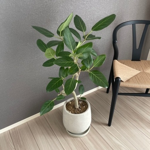 九谷焼　苧野憲夫（あさの　のりお）作　花器　「彩流　鷺」旭泉窯　日展作家 Amazon.co.jp: 九谷焼 苧野憲夫 あさののりお作 花器 「彩流 鷺」旭泉