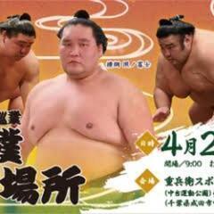 【チケット】大相撲春巡業成田場所【半額】