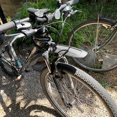 GT パロマーアロイ　2021 27.5インチ