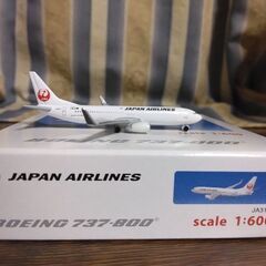 【ネット決済・配送可】シュコ－1/600JAL  B737－800