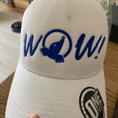 (掲載終了予定)ホンマ HONMA ゴルフ 女性 キャップ 帽子