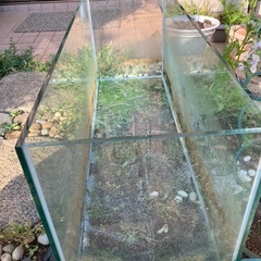 ガラス水槽 熱帯魚　金魚　水族