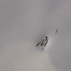 【リサイクルサービス八光】2007年製　シャープ  SJ-WA35M-W [冷蔵庫 345L 3ドア ホワイト]