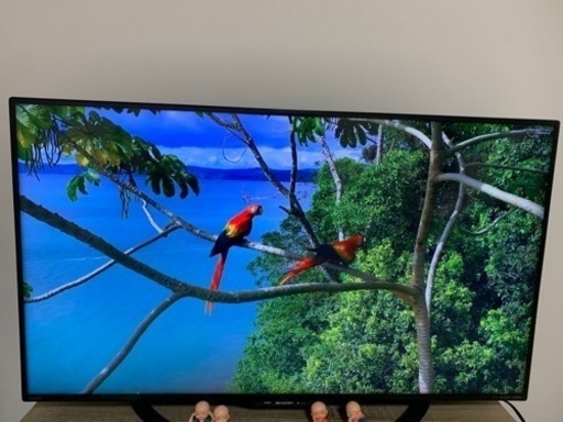 即日受渡❣️40型液晶 TV 省エネ HDMI端子USB端子付ゲーム Blu-ray