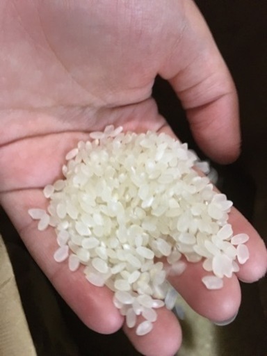 新種なつほのか玄米60kg 2袋 低農薬