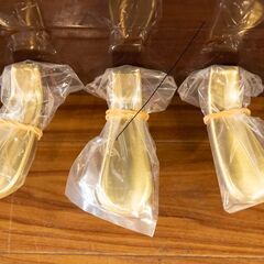 中古ピアノ　ヤマハ b113DMC (2022年製)