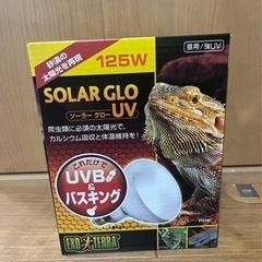 GEX グラステラリウム9045・暖突L・ライト類　セット