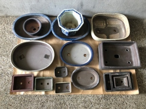 植物鉢 極小から中サイズ 100点以上まとめて 中古