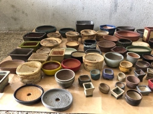 植物鉢 極小から中サイズ 100点以上まとめて 中古