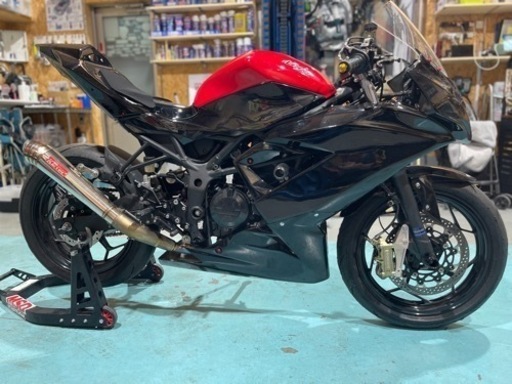 ニンジャ250 サスペンションフォーク 左右セット カワサキ Ninja