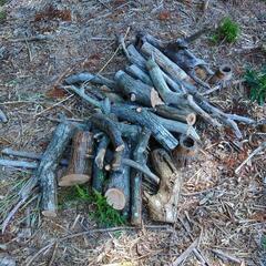 焚き火　広葉樹　キャンプ　薪　にいかがですか？