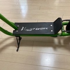 バギークロス　綺麗です