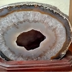 　赤石、瑪瑙、アンモナイトなど　棚付き