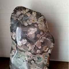 　赤石、瑪瑙、アンモナイトなど　棚付き