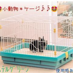 🤩小動物＊うさぎ＊ﾓﾙﾓｯﾄ＊ケージ🤩使用感あり😅