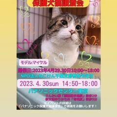 ねこけん千葉支部🐈️Panasonic保護犬猫譲渡会に参加します！