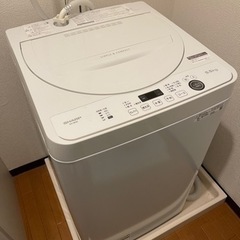 TOSHIBA 全自動洗濯機 AWー45GA 2 4.5kg 2023年製 クリーニング済 50Hz 