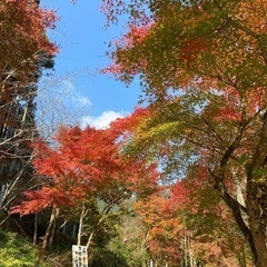 趣味友募集の画像