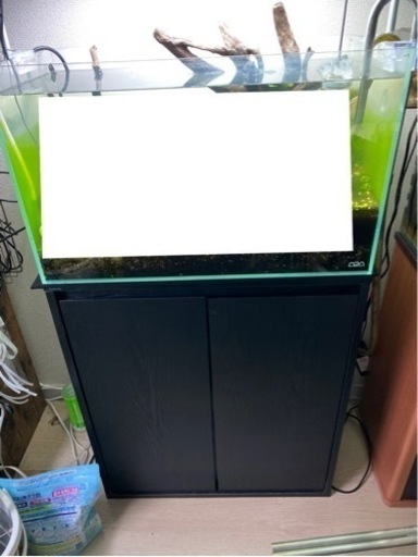 ADA水槽