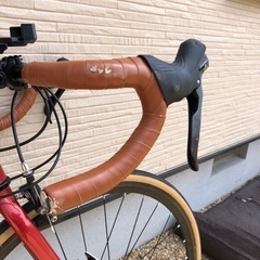 ブランド（オオトモ）カノーバー