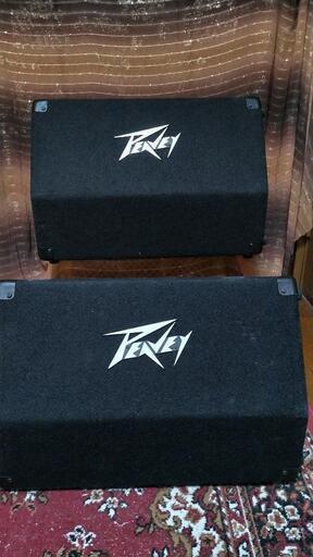 PEAVEY　パワードモニター112PM　２本組