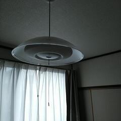 LEDライト(アイリスオオヤマ)