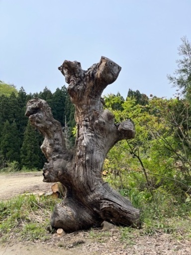 木 木