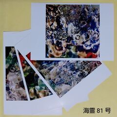 【ネット決済・配送可】地震津波ミサイル撃退 海霊シーグラス81号...