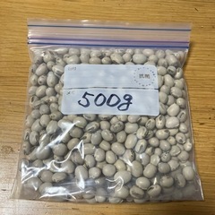 岡山県産ムクナ豆500g