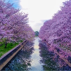 写真スポット巡り