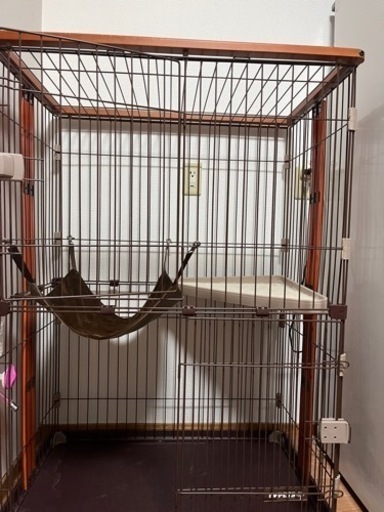 猫 ゲージ