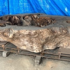 木の根　引き取りに来てくれるかた限定