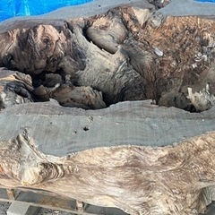 木の根　引き取りに来てくれるかた限定