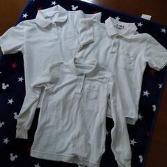 決まりました❗白いポロシャツ3枚