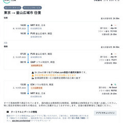 【ネット決済・配送可】購入価格から半額　成田-釜山往復航空券2名...