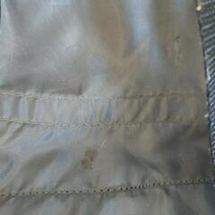 Allen Sports(アレンスポーツ) チャイルド(サイクル)トレーラー